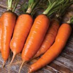A group of 5 orange carrots with green tops and short roots lie on a wooden surface