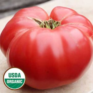 A plump red tomato. USDA organic seal in the lower left corner.