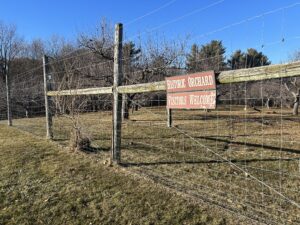A tall wooden and wire fence with a red sign saying "Historic Orchard, Visitors Welcome" surrounds an orchard of trees.