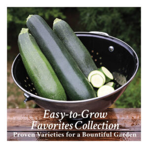 Three green zucchini and some zucchini slices in a metal colander on a table.