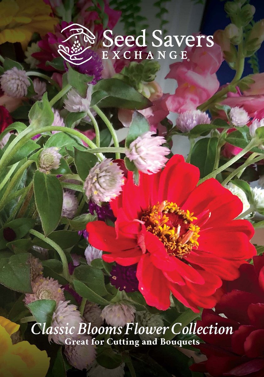A bouquet of flowers featuring a red zinnia and pale globe amaranth