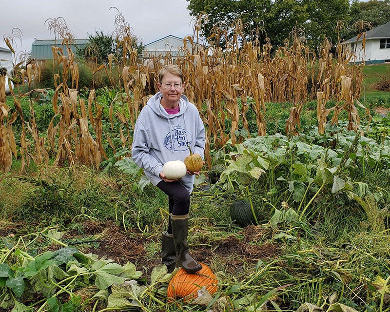 A woman in a gray sweatshirt stands in a garden holding several small pumpkins