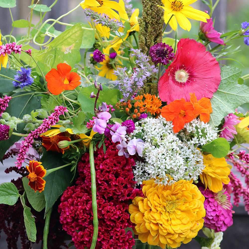 A bouquet of flowers with all different colors, shapes, and textures