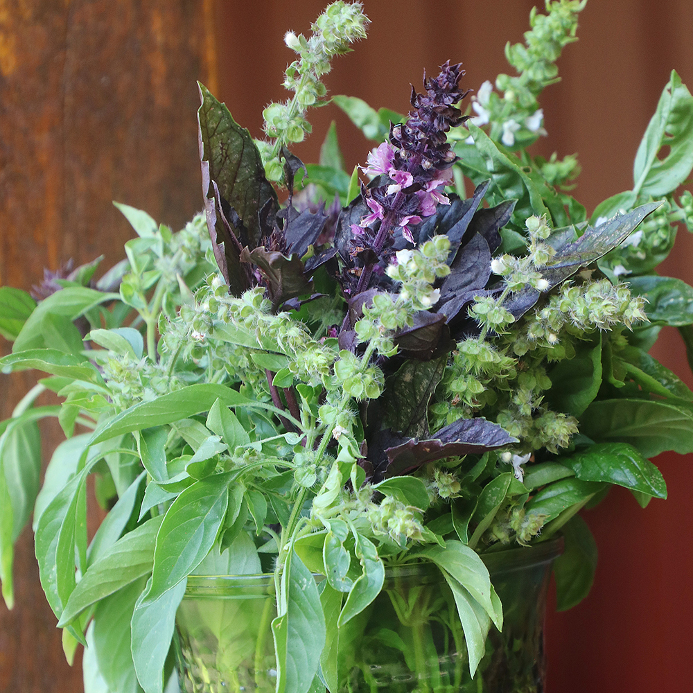 A bouquet of a variety of green and purple herbs