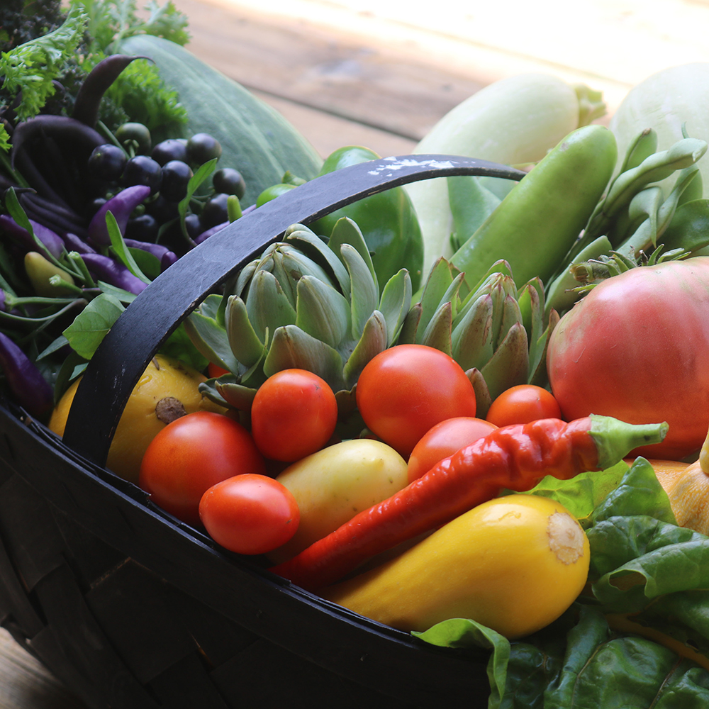 Many colorful vegetables in a basket