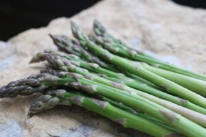 A cluster of asparagus laying on a rock
