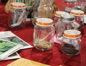 Many jars and envelopes containing different seeds