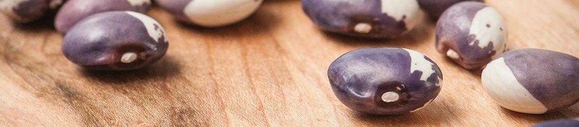 Dry, brown and white beans on a wooden surface