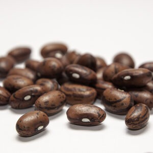 A cluster of rust-colored mottled beans