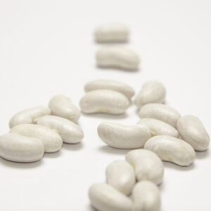 A group of white beans