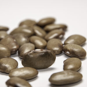 A group of brown beans