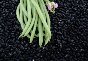 fresh green beans set on top of black bean seeds