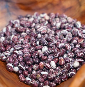A wooden bowl filled with maroon and white-speckled 'Good Mother Stallard' beans