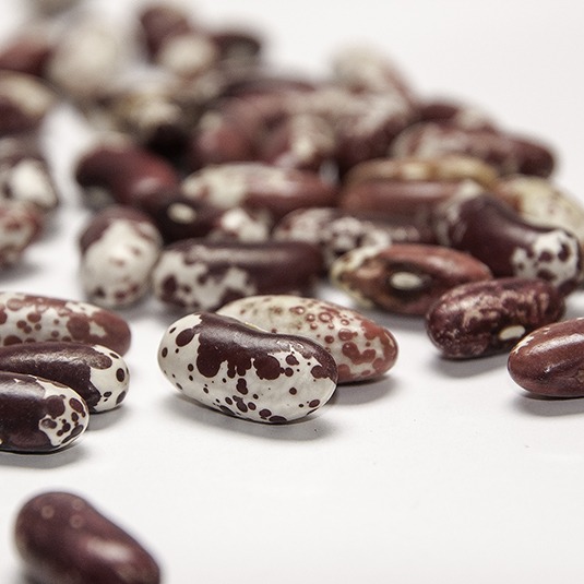 Oblong white and red speckled beans clustered on a white surface