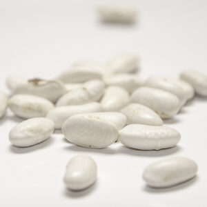 A group of white beans