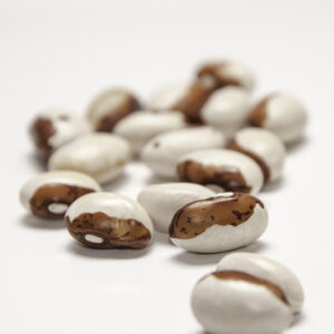 A cluster of white beans with large reddish speckled splotches