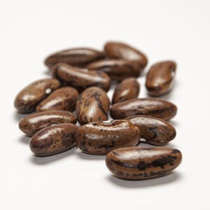 A cluster of long reddish-brown beans with brown streaks and splotches