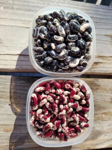 Two plastic containers of beans, black-and-white beans on the top and red-and-white beans on the bottom. 