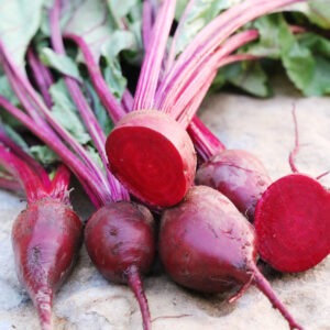 A group of five 'Detroit Dark Red' beets with long red stems and green leaves. One of the beets is sliced in half.