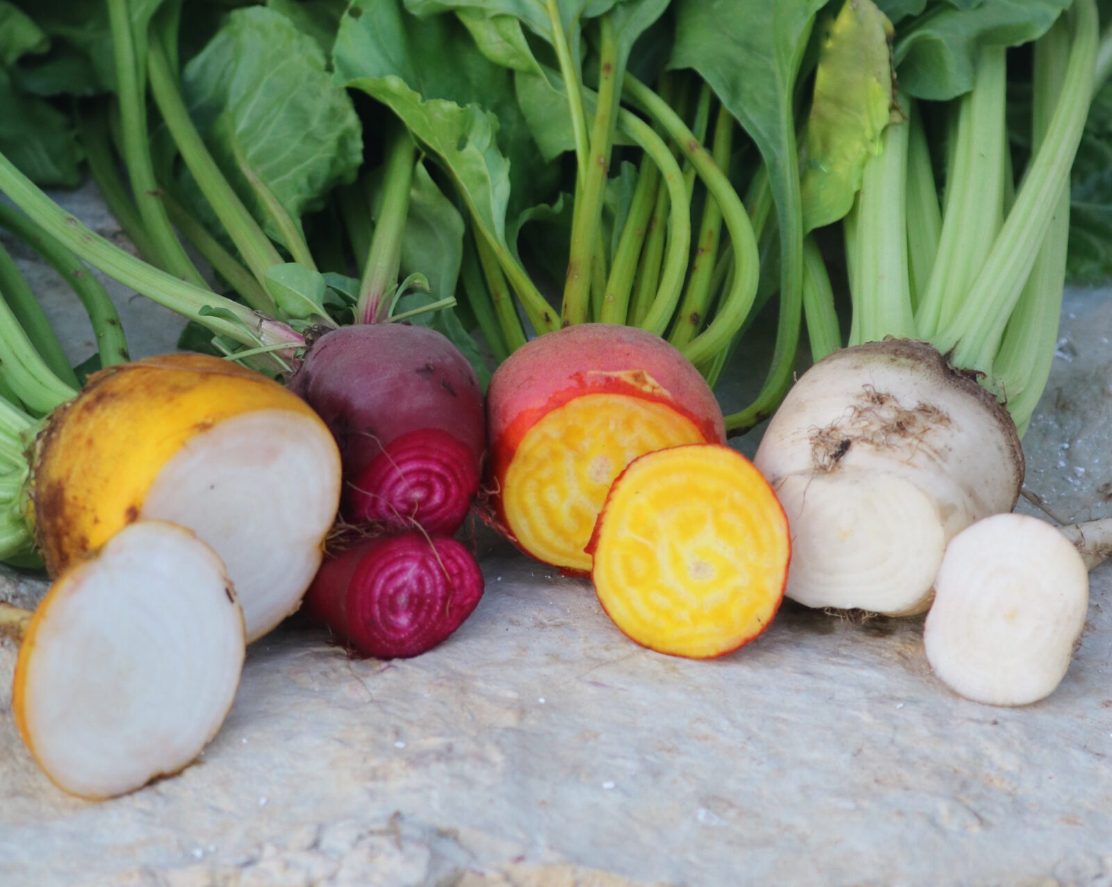 Four varieties beets of different colors arranged in a row with a slice of each type