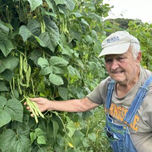 A man in overalls and a baseball cap stands next to a pole bean plant and holds a few bean pods. 