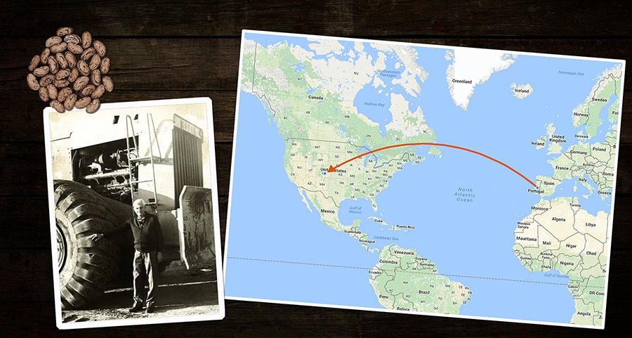 A cluster of beans, an old photograph of a man next to a large vehicle, and a map