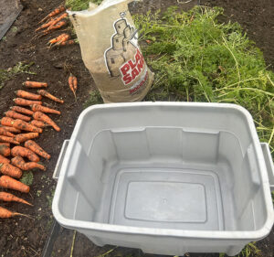 A large plastic tub next to a pile of carrots and a bag of sand