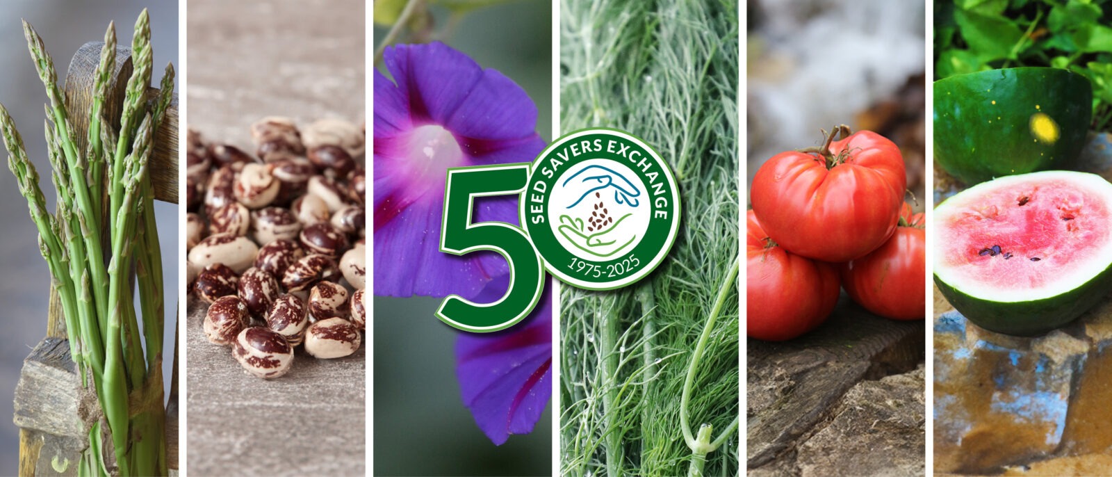 A collage of various images of heirloom plants, including 'Moon & Stars' watermelon, 'German Pink' tomato, 'Three Pound Coffee Can' asparagus, 'Grandpa Ott's' morning glory, dill, and 'Good Mother Stallard' bean