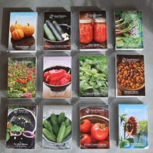 12 seed packet collections arrayed in a neat grid