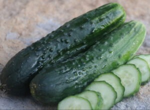 Two green 'A and C Pickling' cucumbers next to a row of cucumber slices on a countertop