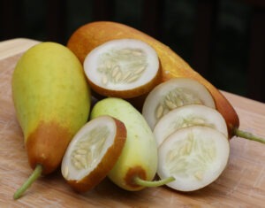 three cucumbers of varying ripeness and cucumber slices