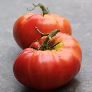 Two large red 'Dester' tomatoes on a smooth granite surface