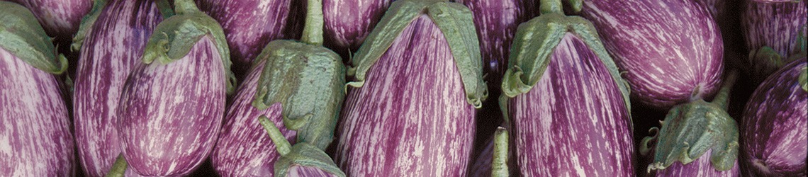 A pile of purple vegetables with green stems and leaves