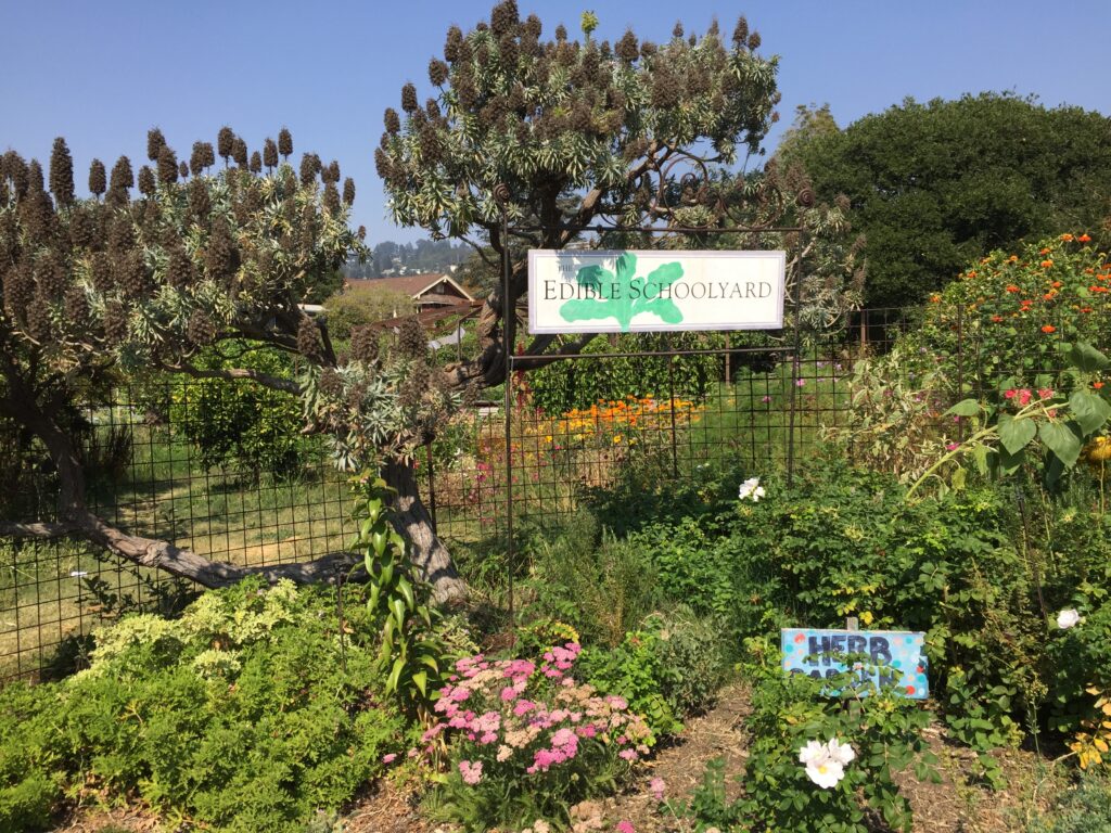 A garden with many plants and trees and a sign saying Edible Schoolyard.