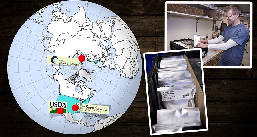A globe and photos of a man packing seed packets into a box and of a box filled with seed packets.