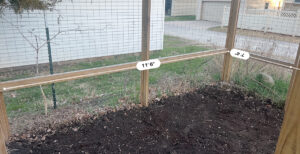 A backyard garden surrounded by a fence displaying the garden's dimensions