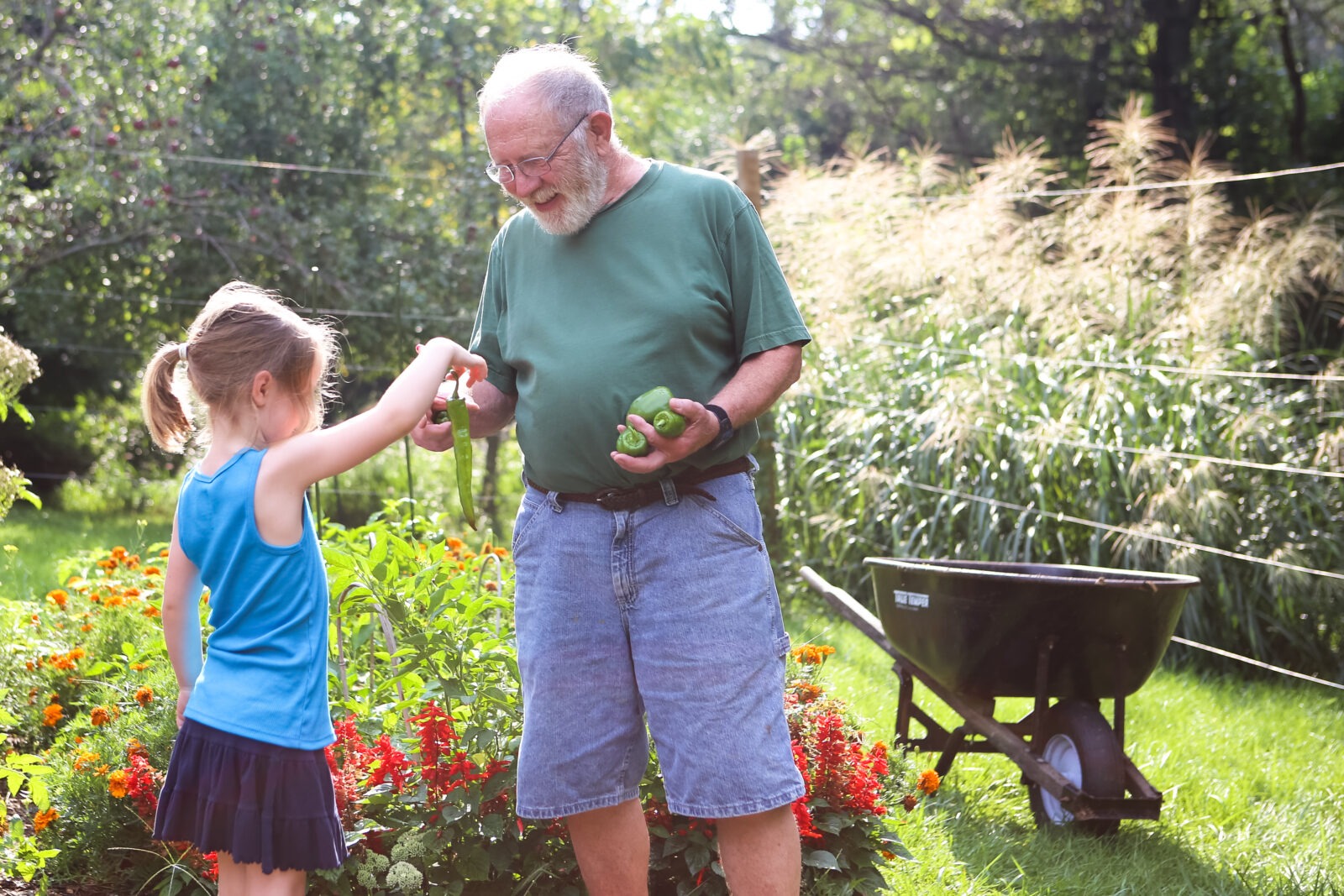 An older man and a young gift in a garden together