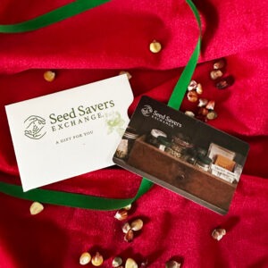A Seed Savers Exchange gift certificate on red fabric with green ribbon and corn seeds