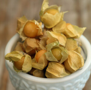 A bunch of yellow 'Aunt Molly's' ground cherries in a white cup