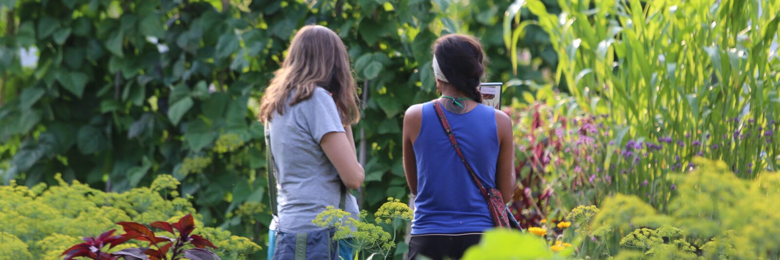 Two people stand in a garden with their backs to the camera.