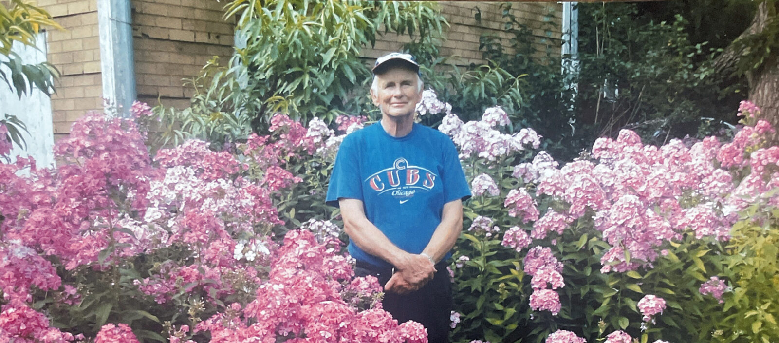 A man wearing a Cubs baseball shirt stands in a flower bush.