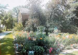 Flowers alongside a driveway with a fruit tree in front of a brick house.