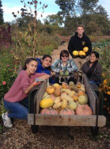Five teenagers pose around a wagon full of different types of squashes in a garden.