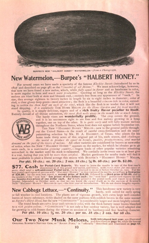 A page of an old seed catalog with a slate drawing at the top of an elongated watermelon, with text below describing its characteristics and price.
