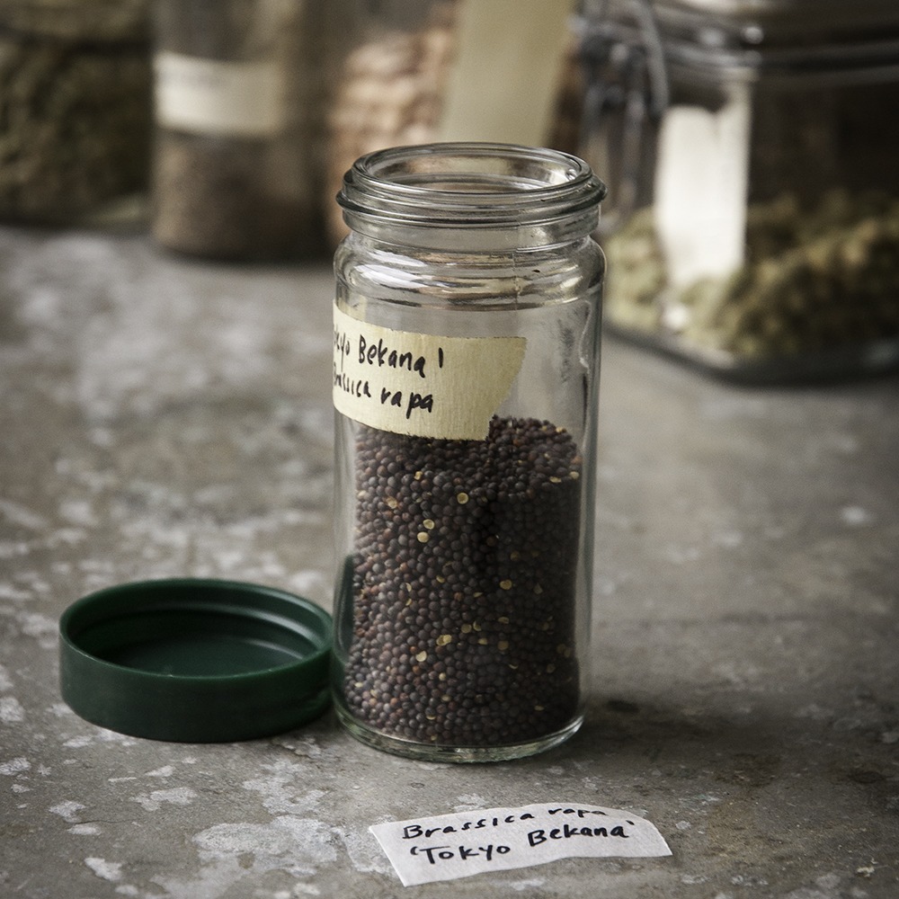 A glass cylinder container of small brown seeds on a counter, next to a green lid