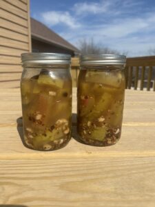 Two large jars filled with pickled watermelon rinds along with spices and chopped garlic sit outdoors on a picnic table