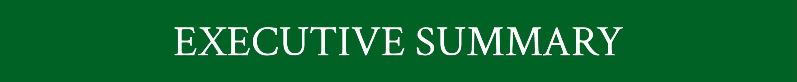 Text reads "Executive Summary."