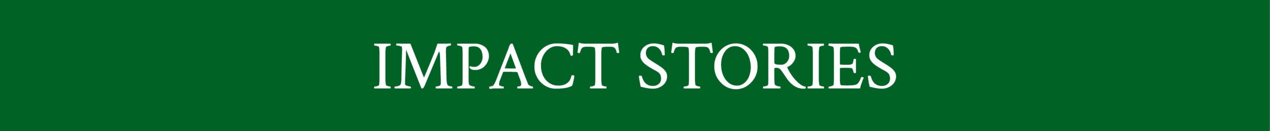 Text reads, "Impact Stories"