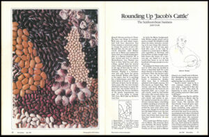 The first two pages of "Rounding Up Jacob's Cattle" article.