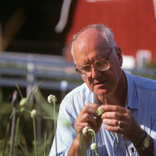 A man inspects a plant in front of a red barn